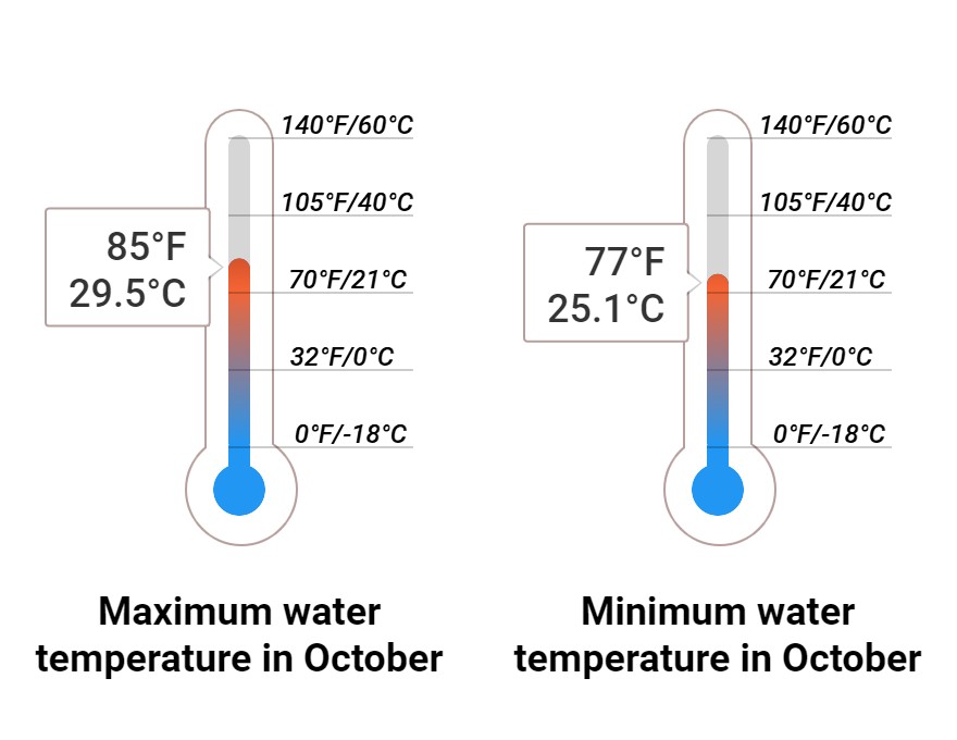 Average Sea temperature